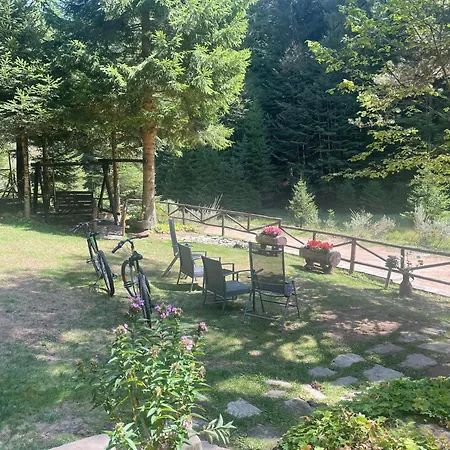 Moon Valley * Popovi Livadi