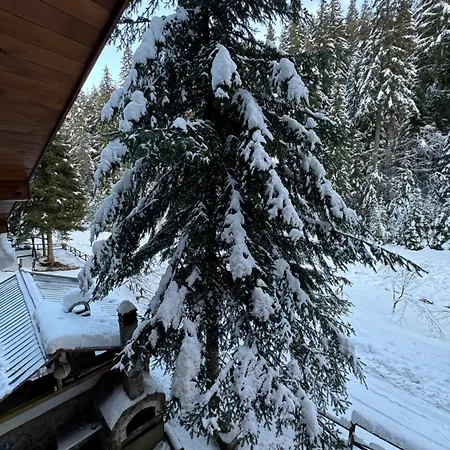 Moon Valley Vilă Popovi Livadi