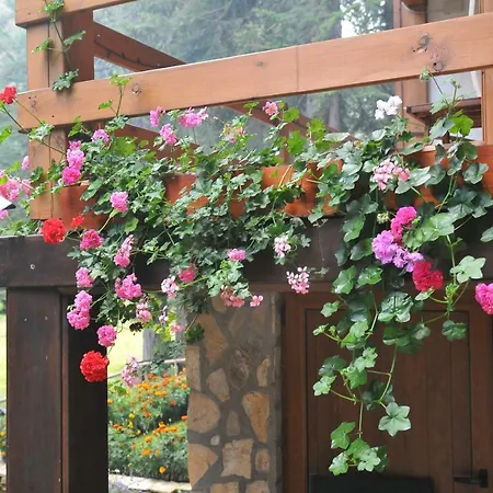 Moon Valley Вилла Popovi Livadi