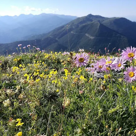 Villa Moon Valley Popovi Livadi