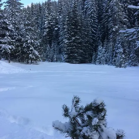 Moon Valley * Popovi Livadi