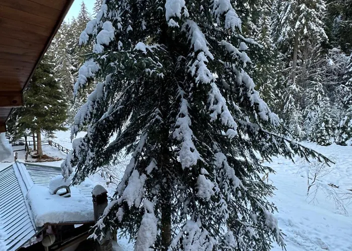 Moon Valley Луксозна вила Popovi Livadi